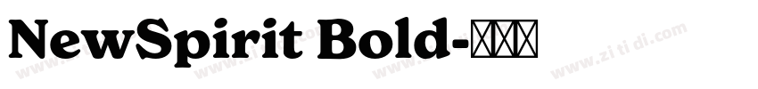 NewSpirit Bold字体转换